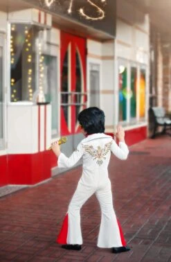 ELVIS 5 PC SET -Trish Scully elvis4