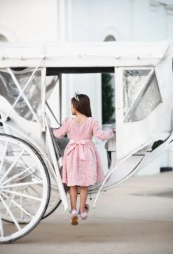 EMMA SEQUIN DRESS PINK 10 EMMA SEQUIN DRESS PINK -Trish Scully emmapink4