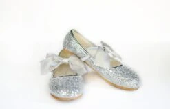 HADLEE SEQUIN SHOE SILVER -Trish Scully hadleesilv2