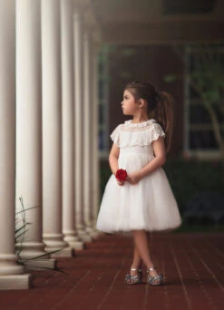 GIOVANNA DRESS WHITE 9 GIOVANNA DRESS WHITE -Trish Scully img1 72a7e990 0575 4308 bfce 710ce7a36512