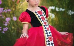 FLASH SALE QUEEN OF MY HEART MINI DRESS -Trish Scully qohmini2